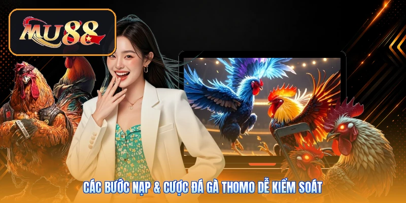 Các bước nạp & cược đá gà Thomo dễ kiểm soát